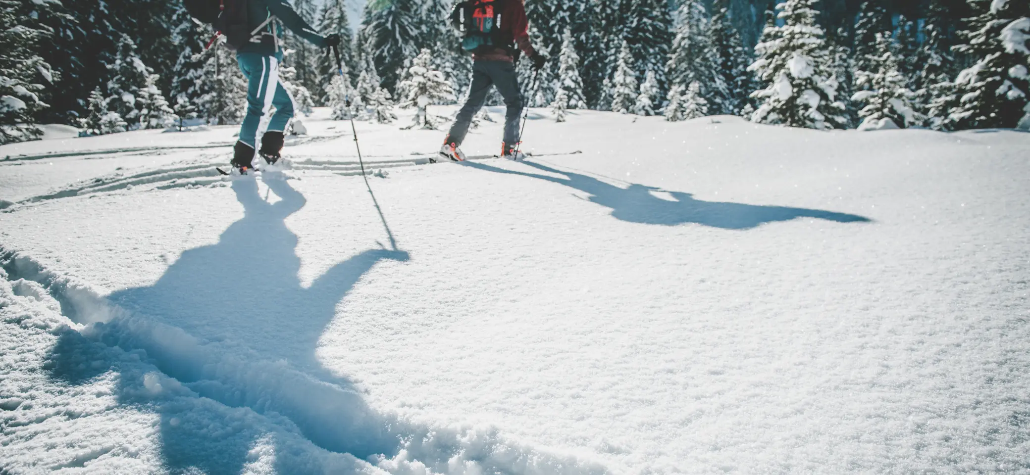 Ein Alt-Tag wegen BFSG | © DAV